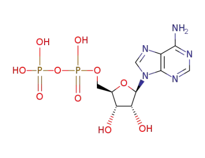 adenosine 5'-diphosphate