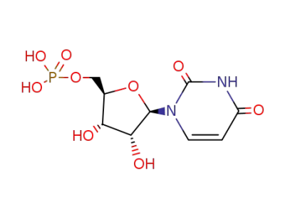 5'-Uridylic Acid