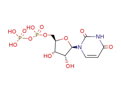 UDP